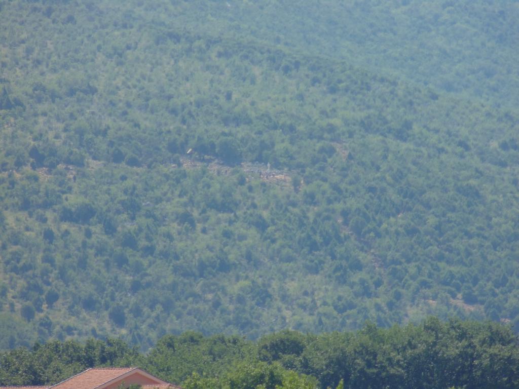 ホテル Pansion Luka Međugorje エクステリア 写真
